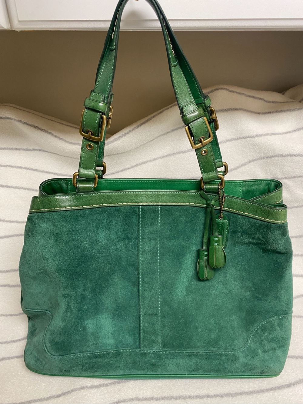 Coach Y2K Hamptons Green Suede Tote Bag - Women